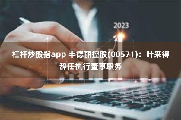 杠杆炒股指app 丰德丽控股(00571)：叶采得辞任执行董事职务