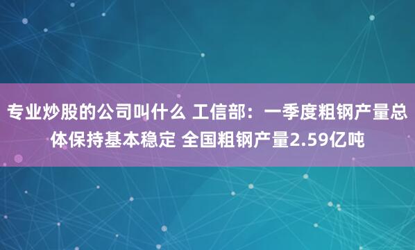 专业炒股的公司叫什么 工信部：一季度粗钢产量总体保持基本稳定 全国粗钢产量2.59亿吨