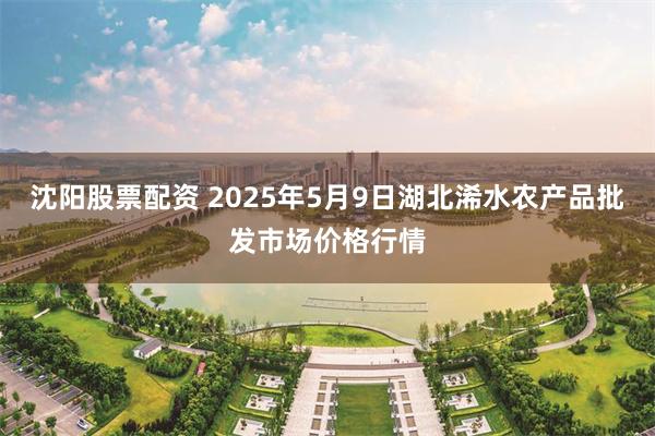 沈阳股票配资 2025年5月9日湖北浠水农产品批发市场价格行情