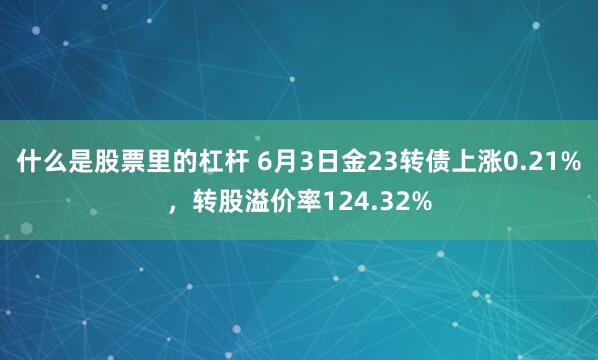 什么是股票里的杠杆 6月3日金23转债上涨0.21%，转股溢价率124.32%