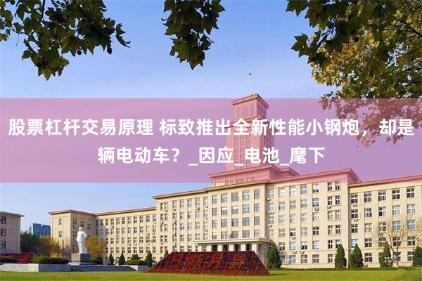 股票杠杆交易原理 标致推出全新性能小钢炮，却是辆电动车？_因应_电池_麾下
