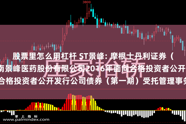 股票里怎么用杠杆 ST景峰: 摩根士丹利证券（中国）有限公司关于湖南景峰医药股份有限公司2016年面向合格投资者公开发行公司债券（第一期）受托管理事务临时报告