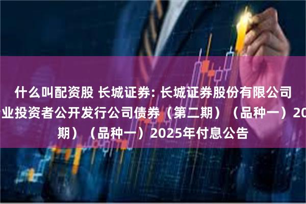 什么叫配资股 长城证券: 长城证券股份有限公司2024年面向专业投资者公开发行公司债券(第二期)(品种一)2025年付息公告
