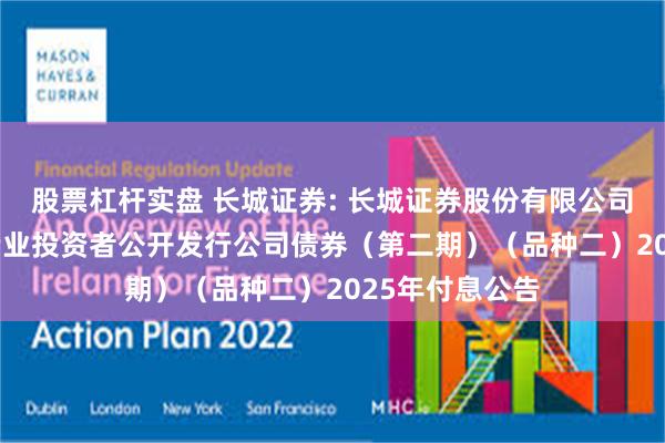 股票杠杆实盘 长城证券: 长城证券股份有限公司2024年面向专业投资者公开发行公司债券（第二期）（品种二）2025年付息公告