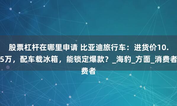 股票杠杆在哪里申请 比亚迪旅行车：进货价10.5万，配车载冰箱，能锁定爆款？_海豹_方面_消费者